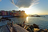 Italien,Ligurien,Genua,Boccadasse,kleiner Hafen und Strand von Boccadasse