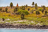 Ecuador,Galapagos-Archipel,von der UNESCO zum Weltkulturerbe erklärt,Insel Santa Cruz,Insel Plaza Sud