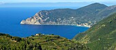 Italien,Ligurien,Provinz La Spezia,Nationalpark Cinque Terre,von der UNESCO zum Weltkulturerbe erklärt,die Küste und die Weinberge zwischen den Dörfern Corniglia und Monterosso al Mare