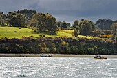 Chile,Region Los Lagos,Archipel von Chiloe,Insel Quehui,Fischerboot und Wiesen