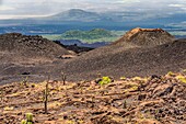 Ecuador,Galapagos-Archipel,von der UNESCO zum Weltkulturerbe erklärt,Insel Isabela (Albemarie),Vulkan Chico