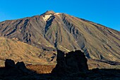 Spanien,Kanarische Inseln,Insel Teneriffa,Parque Nacional del Teide (Teide-Nationalpark),von der UNESCO zum Weltnaturerbe erklärt,Vegetation und Felsen bis zum Vulkan Teide