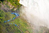 Kanada,Provinz Ontario,Niagarafälle,American Falls