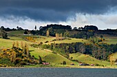 Chile, Los Lagos region, Chiloé Island, Castro District, Rilan Peninsula, farm