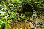 Colombia, Sierra Nevada de Santa Marta, Tayrona Park, trek of the Lost City, registered World Heritage by UNESCO