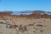 Spanien,Kanarische Inseln,Insel Teneriffa,Parque Nacional del Teide (Teide-Nationalpark),von der UNESCO zum Welterbe erklärt,Vegetation und Felsen bis zum Vulkan Teide