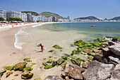 Brazil, state of Rio de Janeiro, city of Rio de Janeiro, Copacabana beach, Carioca landscapes between the mountain and the sea classified UNESCO World Heritage, general view and child walking out of the sea