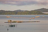 Philippinen,Palawan,Malampaya Sound Protected Landscape and Seascape,typisches Fischereigerät mit einer Bambusstruktur,die die Fischnetze hält