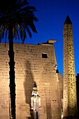 Egypt, Upper Egypt, Nile Valley, Luxor, facade of the Luxor Temple with its statue of Ramses II, its obelisk and its slender palm tree lit by night