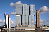 Niederlande,Südholland,Rotterdam,Süduferbereich entlang der Nieuwe Maas mit dem von dem niederländischen Architekten Rem Koolhaas (OMA) entworfenen Gebäude namens De Rotterdam (2014)