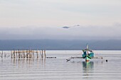 Philippinen,Palawan,Malampaya Sound Protected Landscape and Seascape,Delfinbeobachtungsboot zur Beobachtung des schwer fassbaren und vom Aussterben bedrohten Irrawaddy-Delfins (Orcaella brevirostris - Malampaya Sound Subpopulation)