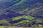 Spain, Canary Islands, Lanzarote Island, Biosphere Reserve, Terraced Cultivation in North Island