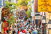 Kanada,Provinz Québec,Québec City,Altstadt von Québec,von der UNESCO zum Weltkulturerbe erklärt,unterer Teil der Altstadt,rue du Petit Champlain