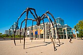 Kanada,Provinz Ontario,Ottawa,Kanadisches Museum der Schönen Künste des Architekten Moshe Safdie und die Riesenspinne von Louise Bourgeois