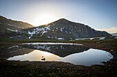 Frankreich,Hautes Alpes,Nationalpark Ecrins,Orcieres Merlette,Naturreservat des Cirque du Grand Lac des Estaris (2555m)