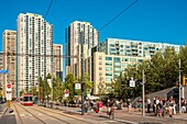 Canada, Ontario province, Toronto, Harbourfront District