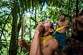 Ecuador, Tena, immersion life experience with the Waoranis of the Rio Nushino, demonstration of a call to attract certain birds