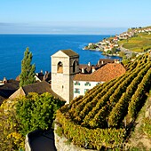 Switzerland, Canton of Vaud, Lavaux Vineyard Terraces listed as World Heritage by UNESCO, it extends from Montreux to Lausanne on 32km along Lake Geneva and 850ha, the village of Saint Saphorin