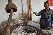 China, Xinjiang autonomous region, Hotan, traditional workshop for silk production, threading, dyeing and weaving, cocoons