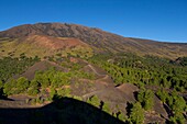 Italy, Sicily, Mount Etna Regional Nature Park, Mount Etna, UNESCO World Heritage Site, North Slope, Mounts Sartorius