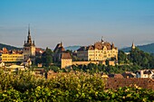 Rumänien,Siebenbürgen,Sighisoara,ist eine der sieben befestigten sächsischen Städte Siebenbürgens,von der UNESCO zum Weltkulturerbe erklärt,Übersicht mit Rathaus und Turnul cu ceas (Uhrenturm)