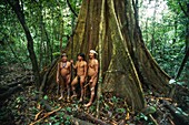 Ecuador, Orellana, Rio Cononaco, Group of hunters at the foot of a cheese maker, the Huaorani are one of the last two tribes of hunter-gatherers who live in the heart of the rainforest of Ecuador