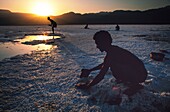 Djibouti, Lake Assal, Harvesting salt on Lake Assal by the caravaneers