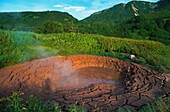 Russia, Kamchatka, Caldeira de Uzon, source of mud