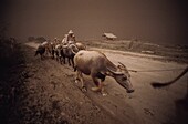 Philippines, Luzon Island, Pinatubo Volcano, 1991 Eruption of Pinatubo Volcano and Evacuation