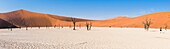 Namibia,Provinz Hardap,Namib-Naukluft-Nationalpark,Deadvlei