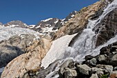 France, Hautes Alpes, massif of Oisans, national park of the Ecrins, high mountain hike to the Roche Faurio, the final language of the glacier Blanc and an annexed torrent