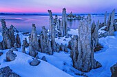 United States, Nevada, Tufa State Natural Res Mono Lake, Formation of Limestone Turrets at Mono Lake