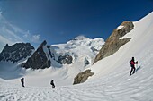 Frankreich,Hautes Alpes,Oisans-Massiv,Nationalpark Ecrins,Wanderung auf den Roche Faurio,Cordée auf dem Gletscher des Roche Faurio vor der Kuppel und der Bar des Ecrins