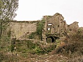 Frankreich,Hérault,Pic Saint -Loup,Geschichte : Altweibersommer in den Cevennen