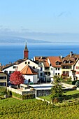 Switzerland, Canton of Vaud, Lavaux Vineyard Terraces listed as World Heritage by UNESCO, it extends from Montreux to Lausanne on 32km along Lake Geneva and 850ha, the village of Rivaz