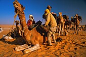 Tschad,Ennedi,Sahara,Karawane in der Depression Cora Mordi
