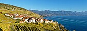 Switzerland, Canton of Vaud, Lavaux Vineyard Terraces listed as World Heritage by UNESCO, it extends from Montreux to Lausanne on 32km along Lake Geneva and 850ha, the village of Rivaz and the city of Montreux in the background