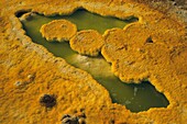 Ethiopia, Danakil Desert, Dallol's explanation of a unique site on Earth lies in the dual game of volcanism and hydrology