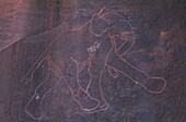 Libya, Sahara, Rock carvings from Messak Settafet