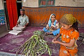 China, Xinjiang autonomous region, Hotan, traditional workshop to produce paper, from poplar's bark and gorse leaves