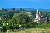 Frankreich,Saone et Loire,Chanes,Weinberge auf einem Hügel mit einem Dorf im Hintergrund