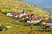 Switzerland, Canton of Vaud, Lavaux Vineyard Terraces listed as World Heritage by UNESCO, it extends from Montreux to Lausanne on 32km along Lake Geneva and 850ha, the village of Rivaz