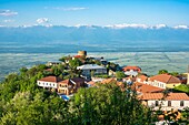 Georgien,Region Kachetien,befestigtes Dorf Sighnaghi,schneebedecktes Kaukasusgebirge im Hintergrund