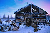 Russia, Sakha, wintering hut, the Evenks are nomadic reindeer herders of the taiga in Siberia