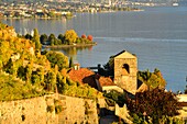 Switzerland, Canton of Vaud, Lavaux Vineyard Terraces listed as World Heritage by UNESCO, it extends from Montreux to Lausanne on 32km along Lake Geneva and 850ha, the village of Saint Saphorin