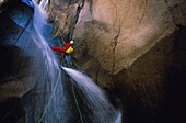 Frankreich,Insel La Réunion,Canyons,Schlucht mit gelben Blumen