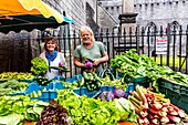 Ireland, County Galway, Galway, market near St. Nicholas Church, Jeannette and Joachim, organic producer