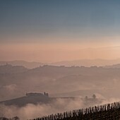 Italy, Piedmont, Province of Cuneo, The Langhe Wine Region, listed as World Heritage by UNESCO