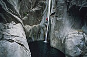 Frankreich,Insel La Réunion,Canyons,Schlucht mit gelben Blumen