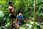 Ecuador, Tena, immersion life experience with the Waoranis of the Rio Nushino, progress in the jungle